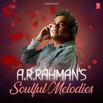 A.R. Rahman's Soulful Melodies - Benny Dayal Song Download
